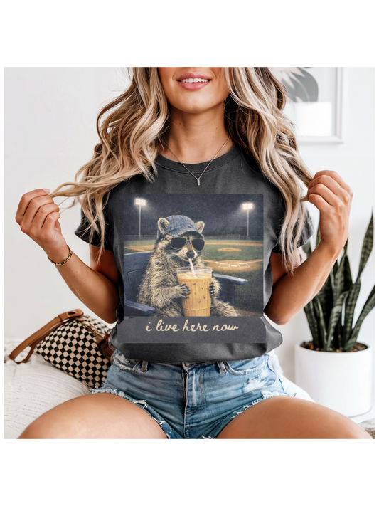 I live here now - Racoon Ballfield